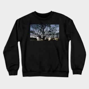 London Eye view thru trees near it Crewneck Sweatshirt